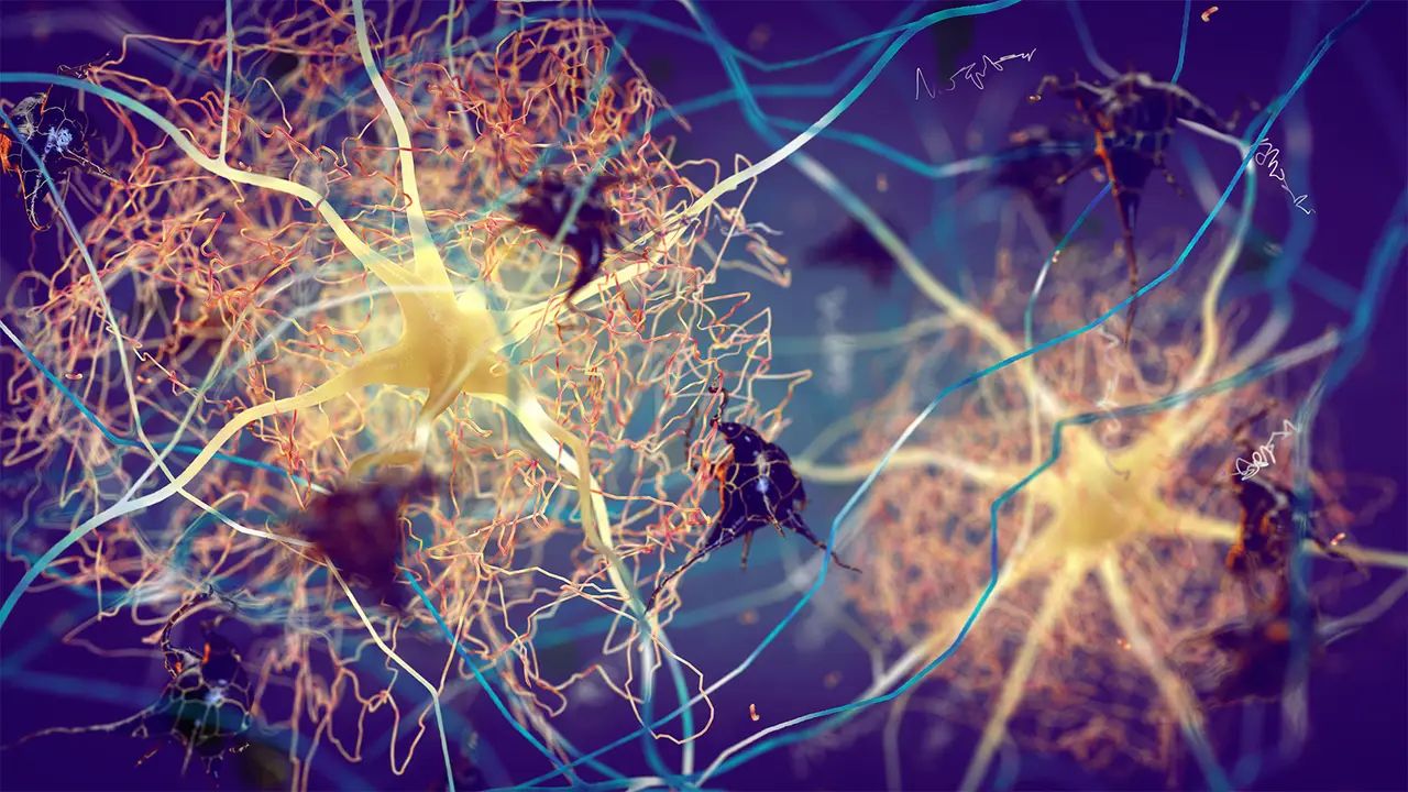 Preparing for Antiamyloid therapies